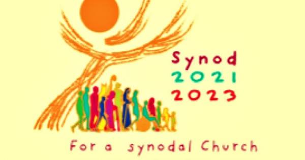 Pontifical Institute Indian Bishops To Organize Symposium On Synod RVA   Synod 